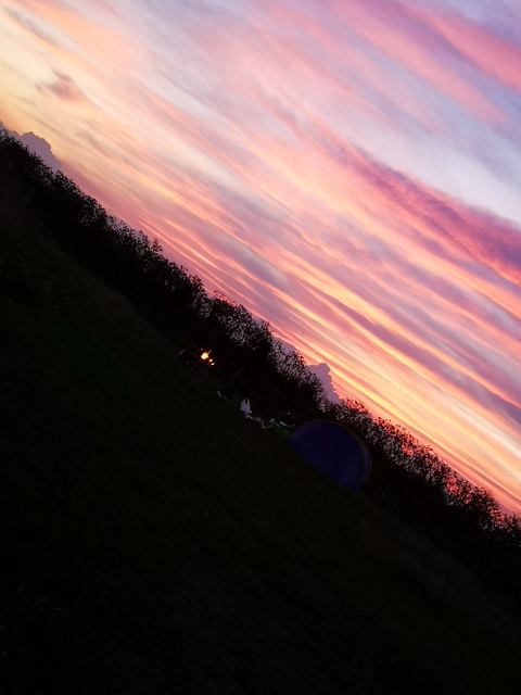 Tori_Starz @tori_xo cover picture