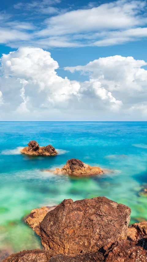 TotoBear @totobear cover picture