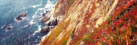 Tracy Clark-Flory @tracyclarkflory cover picture