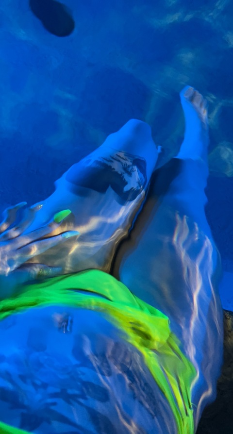 Luca @trapicalfusion cover picture