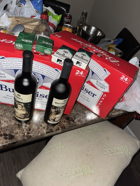 Levi boyd @trappedinasnowstorm cover picture