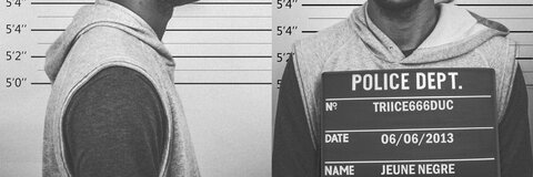 Triice @triice cover picture