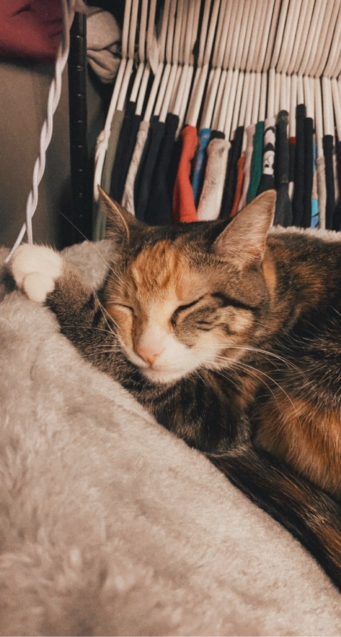 Trinidaddy @trinidaddy1 cover picture