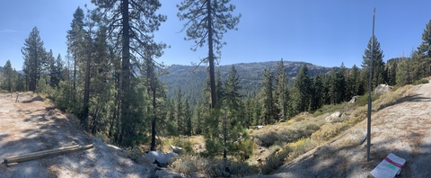 TrippyHippy @trippyhippy cover picture