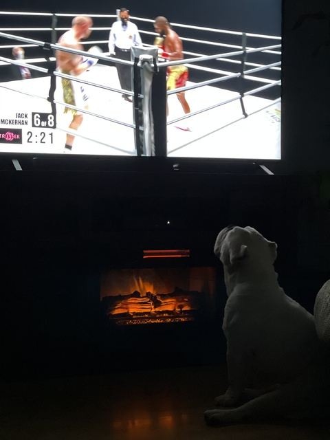 Tu morenito @tumorenito cover picture