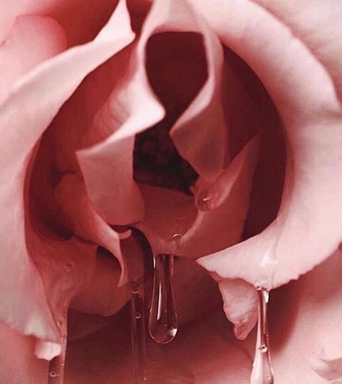 TurntTina @turnttina cover picture