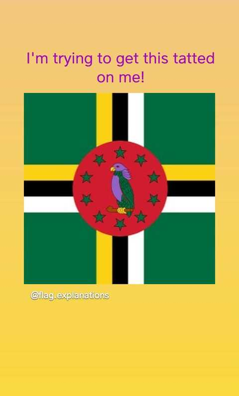 Muten Roshi @turtlehermet777 cover picture