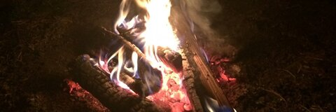 Sweet Will @twilliam cover picture