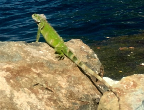 u9925087 @twittgit99 cover picture