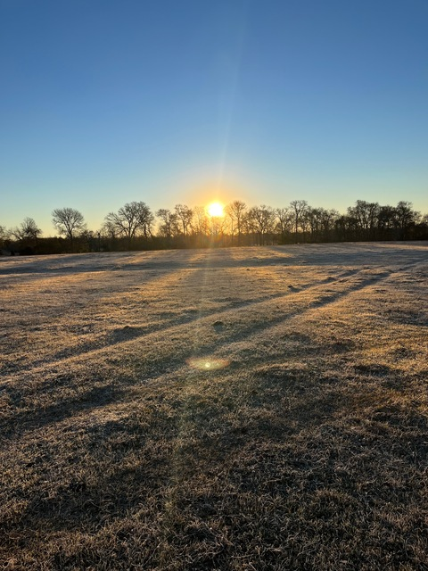 Country girl @txcouple2022 cover picture