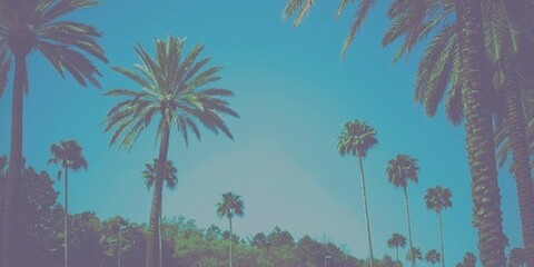 Ty-Land @ty-land cover picture