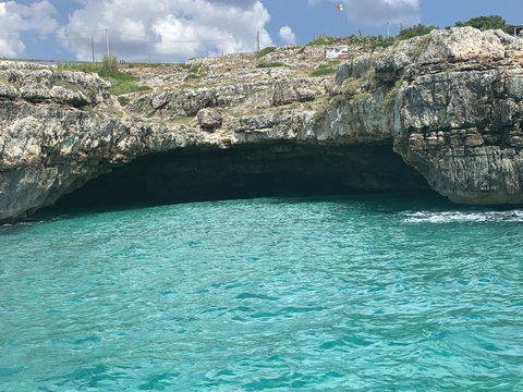 Benji @u101772258 cover picture