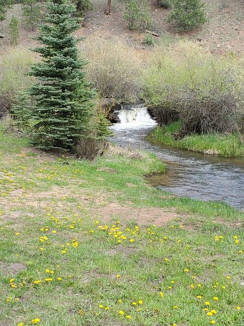 Christian C @u10271745 cover picture