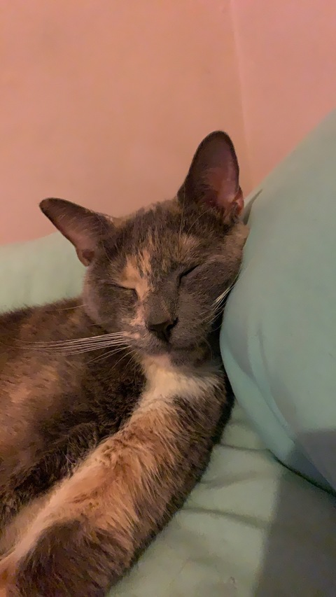 Katrina0784 @u109381147 cover picture