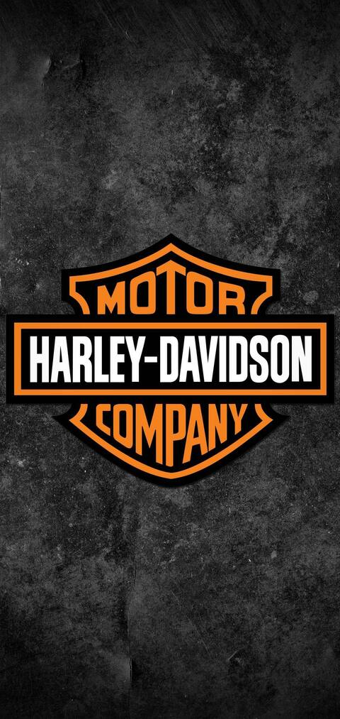 Swinger-girl @u121470589 cover picture