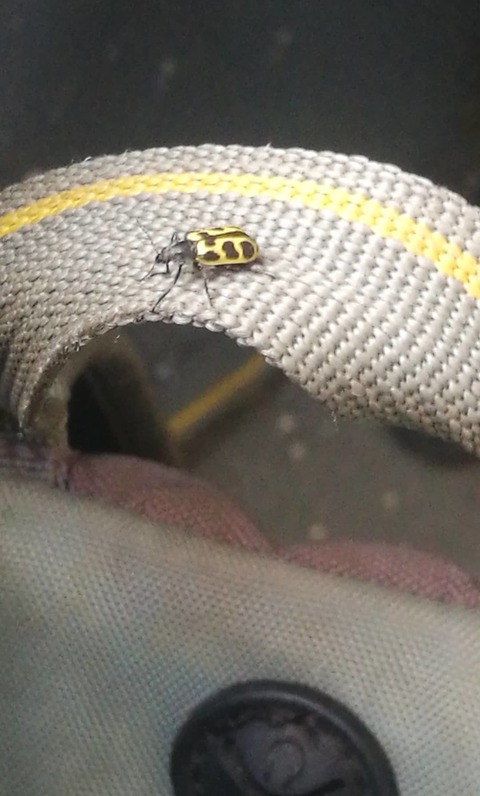 Yeshua Boccuti @u121571581 cover picture