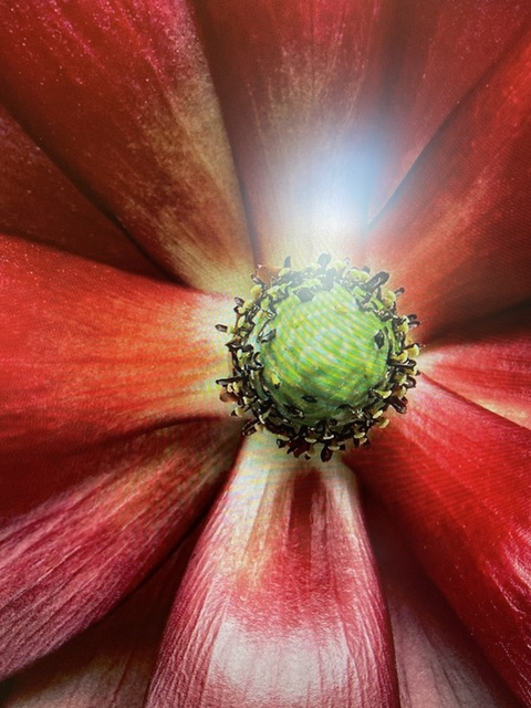 Kitty @u124751556 cover picture