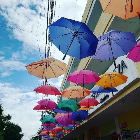 Nhora Caldas @u126417752 cover picture