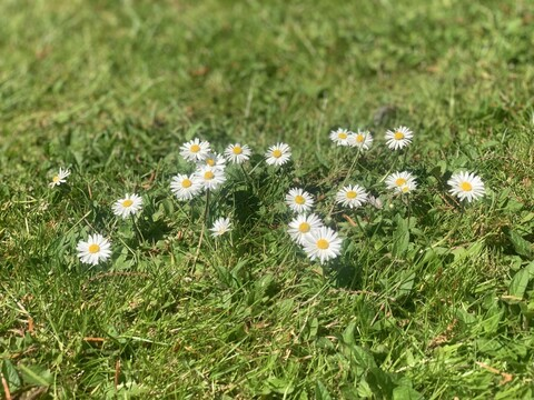 Ayla @u131015334 cover picture