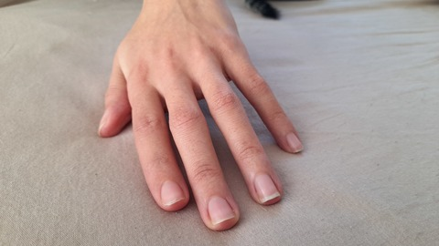 Bitbbash @u134420511 cover picture