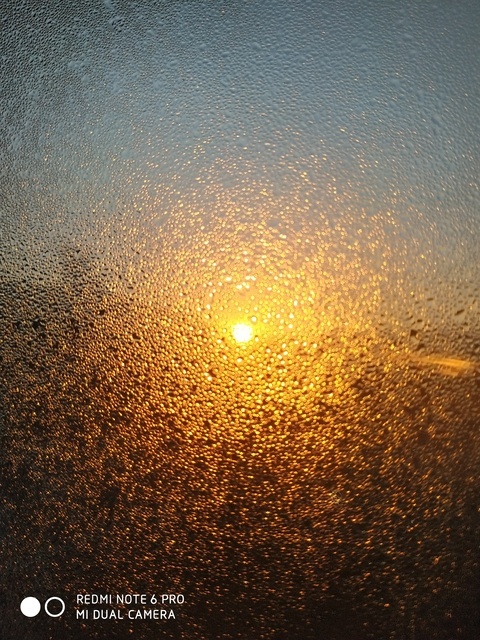 Andreco🦋 @u140896695 cover picture