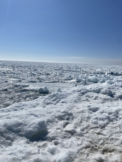 Oakland Quest @u140980188 cover picture