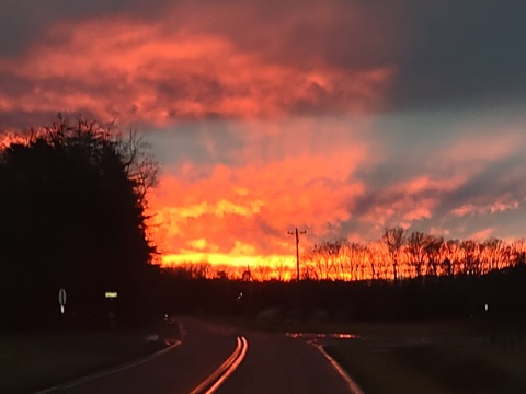 Yuhgottaseethisshit @u147422702 cover picture