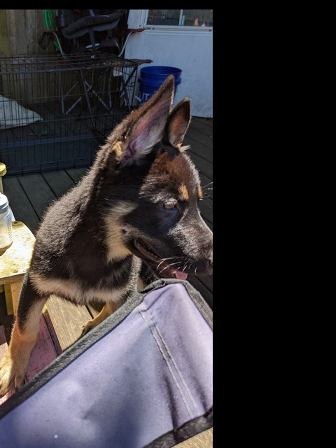 Nobody u know @u150540521 cover picture