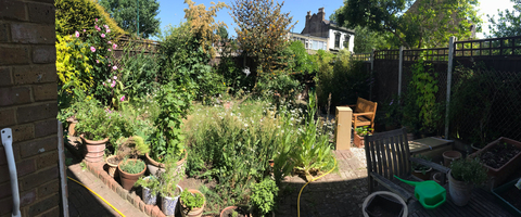 Robert Workman @u15120766 cover picture