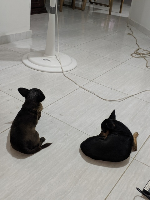 u15346165 @u15346165 cover picture