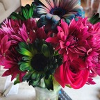 u154337883 Profile Picture