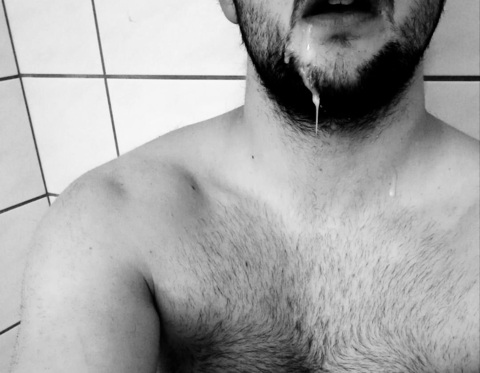 Swissbear @u163229779 cover picture