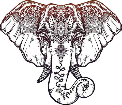 BoriBori @u176340503 cover picture