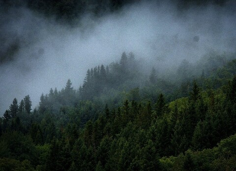 u178732522 @u178732522 cover picture