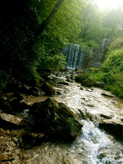 Polverina😏 @u17915014 cover picture