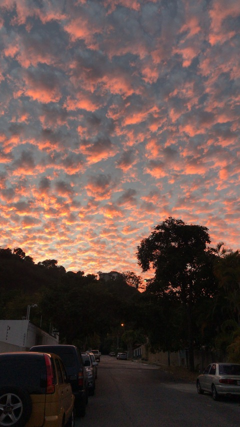 Isa @u180399097 cover picture