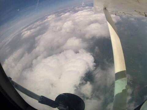 Wolfy_69 @u181290491 cover picture