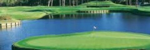 Cattto @u18141961 cover picture