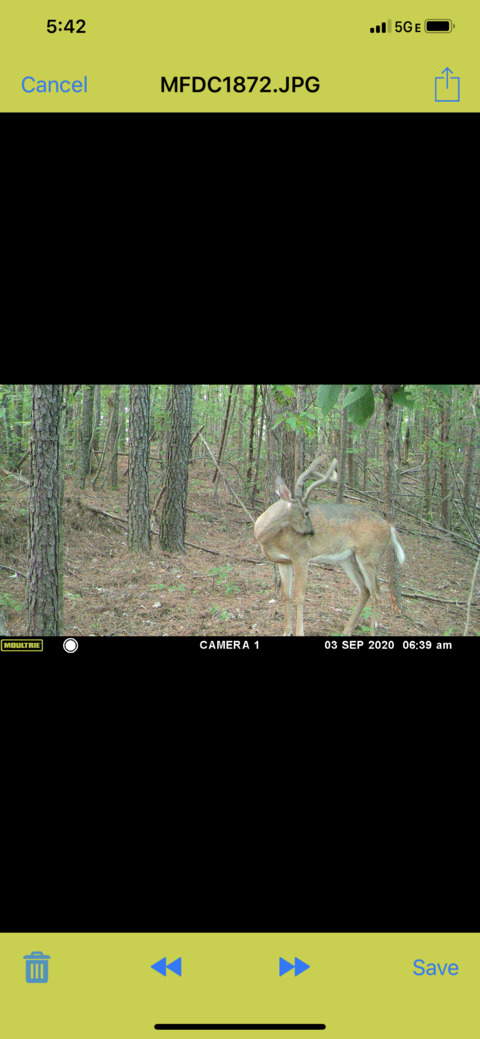 Bigbuck88 @u18588034 cover picture