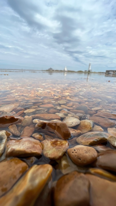 Flo @u191120041 cover picture