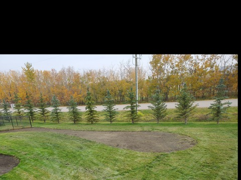 Brody @u194077592 cover picture