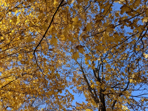 Harlan LeCroix @u1948908 cover picture