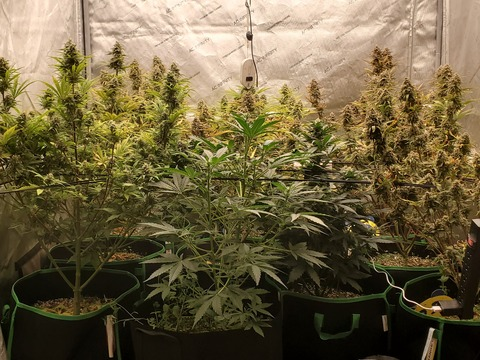 MyDixieWrecked @u195503790 cover picture