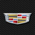 u19909391 Profile Picture