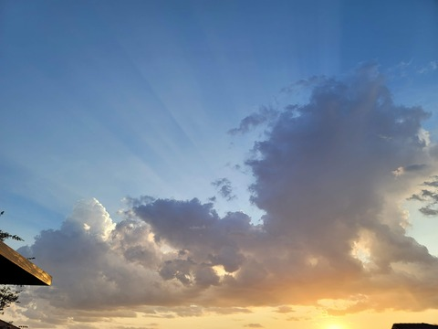 H @u20198504 cover picture