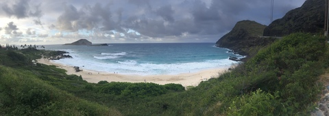 MSP @u20655266 cover picture