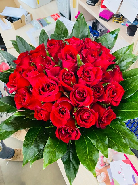 Le.nnya @u207591713 cover picture