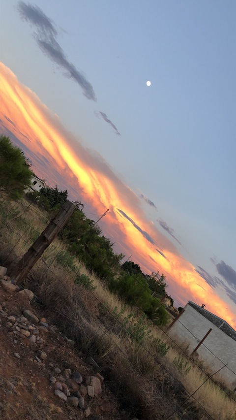 Cody @u21631436 cover picture