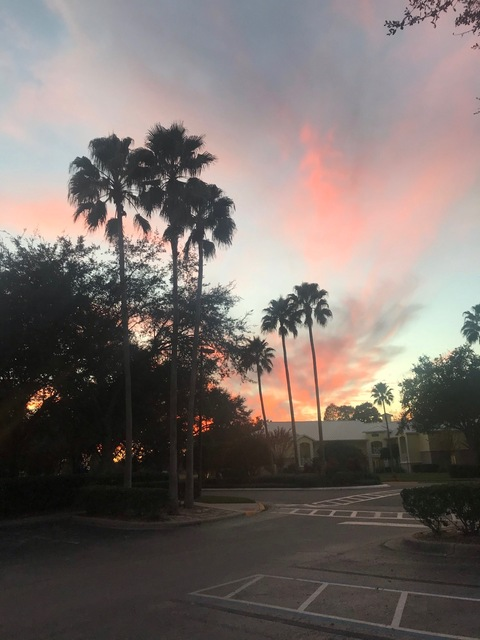 Madison Jane @u228851214 cover picture