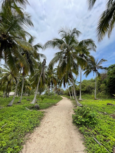 Karmen B Ney @u229512683 cover picture